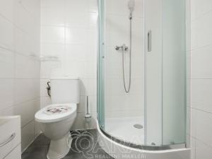 Pronájem bytu 1+kk, Benátky nad Jizerou - Benátky nad Jizerou I, Vaněčkova, 453 m2