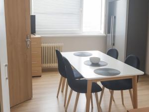 Pronájem bytu 1+1, Chomutov, Jirkovská, 35 m2