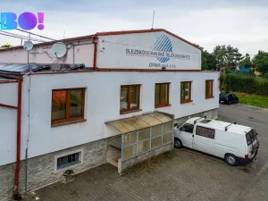 Pronájem kanceláře, Opava, 162 m2