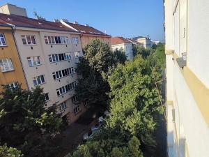 Pronájem bytu 2+kk, Praha - Žižkov, Žerotínova, 46 m2