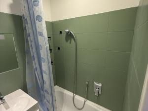 Pronájem bytu 1+kk, Plzeň, Vrchlického, 27 m2