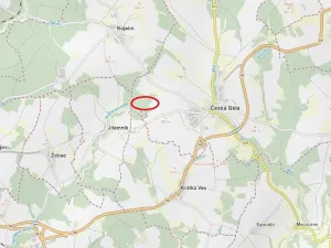 Prodej lesa, Česká Bělá, 18552 m2