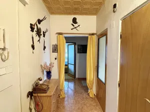 Prodej bytu 2+1, Kladno, Obránců míru, 53 m2