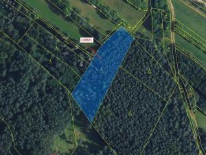 Dražba lesa, Žďárec, 3474 m2