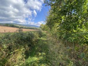 Prodej lesa, Lánov - Horní Lánov, 4009 m2