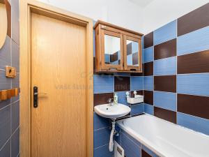 Prodej bytu 1+kk, Praha - Libeň, Braunerova, 41 m2