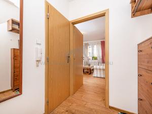 Prodej bytu 1+kk, Praha - Libeň, Braunerova, 41 m2