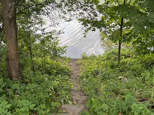 Prodej rodinného domu, Hrusice, K Penzionu, 360 m2