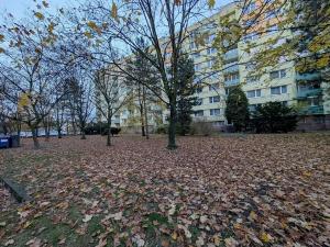 Prodej bytu 3+kk, Mladá Boleslav, U stadionu, 81 m2