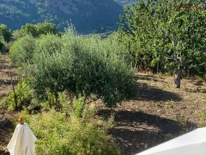 Prodej rodinného domu, Montalbano Elicona, Itálie, 90 m2