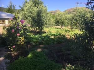 Prodej rodinného domu, Montalbano Elicona, Itálie, 90 m2