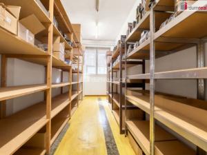 Prodej obchodního prostoru, Ústí nad Labem - Ústí nad Labem-centrum, SNP, 191 m2