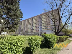 Prodej bytu 4+kk, Hradec Králové - Pražské Předměstí, Jungmannova, 90 m2