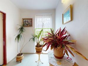 Prodej rodinného domu, Doksy, Družstevní, 150 m2