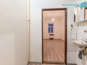 Prodej bytu 1+kk, Polevsko, 17 m2