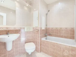 Prodej bytu 1+1, Nové Sedlo, Revoluční, 36 m2