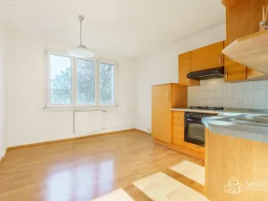 Prodej bytu 1+1, Nové Sedlo, Revoluční, 36 m2