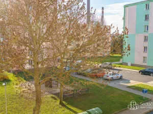 Prodej bytu 1+1, Nové Sedlo, Revoluční, 36 m2