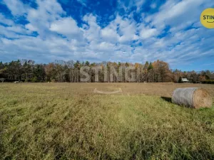 Prodej pozemku pro bydlení, Baška - Kunčičky u Bašky, 1006 m2