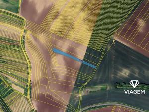 Prodej podílu pole, Čejkovice, 482 m2