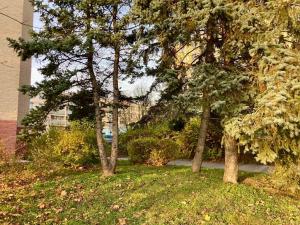 Prodej bytu 1+kk, Praha - Modřany, Semická, 29 m2