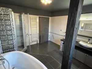 Prodej rodinného domu, Stanovice, 492 m2