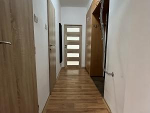 Pronájem bytu 2+kk, Ostrava - Poruba, Španielova, 55 m2