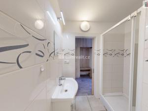 Pronájem bytu 1+kk, Opava, Holasická, 25 m2