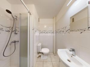 Pronájem bytu 1+kk, Opava, Holasická, 25 m2