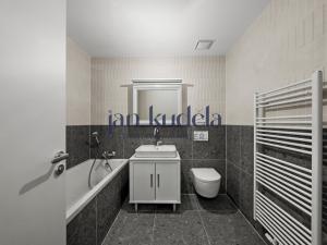 Pronájem bytu 1+kk, Brno, Bratislavská, 36 m2