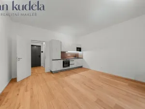 Pronájem bytu 1+kk, Brno, Bratislavská, 36 m2