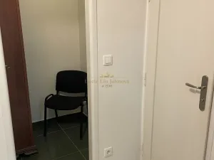 Prodej bytu 1+kk, Praha - Žižkov, Přemyslovská, 38 m2