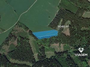 Prodej pole, Zlatá Olešnice, 11045 m2