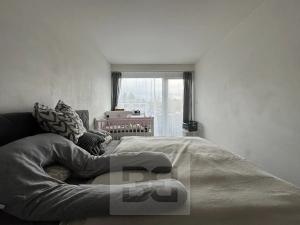 Pronájem bytu 2+kk, Brno, Tuřanské náměstí, 55 m2