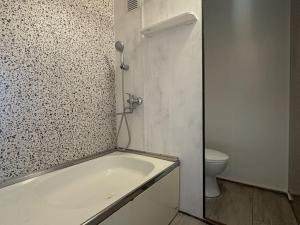 Pronájem bytu 1+1, Chomutov, Kostnická, 36 m2