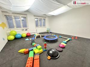 Pronájem obchodního prostoru, Praha - Vinohrady, Bělehradská, 397 m2