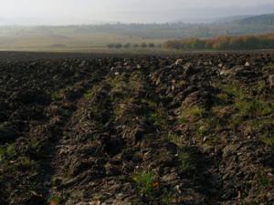 Prodej pole, Bohdašín, 54810 m2