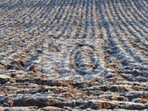 Prodej pole, Bohdašín, 54810 m2