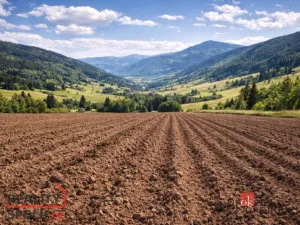 Prodej pole, Bohdašín, 54810 m2