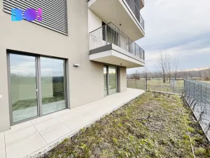 Pronájem bytu 2+kk, Ostrava, F. X. Riepla, 54 m2