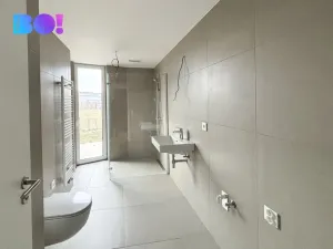 Pronájem bytu 2+kk, Ostrava, F. X. Riepla, 54 m2