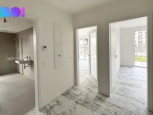 Pronájem bytu 2+kk, Ostrava, F. X. Riepla, 54 m2