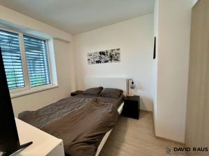 Pronájem bytu 2+kk, Brno, Merhautova, 50 m2