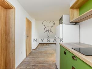 Pronájem bytu 1+kk, Drahotěšice, 35 m2