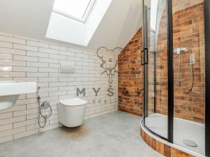 Pronájem bytu 1+kk, Drahotěšice, 35 m2