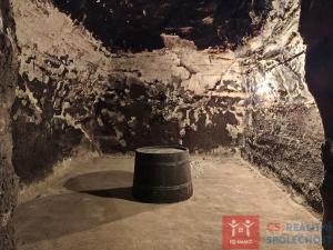 Pronájem vinného sklepa, Nový Šaldorf-Sedlešovice - Nový Šaldorf, 310 m2