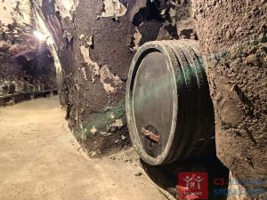 Pronájem vinného sklepa, Nový Šaldorf-Sedlešovice - Nový Šaldorf, 310 m2