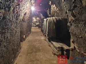 Pronájem vinného sklepa, Nový Šaldorf-Sedlešovice - Nový Šaldorf, 310 m2