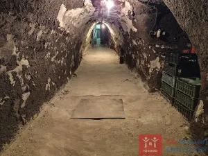 Pronájem vinného sklepa, Nový Šaldorf-Sedlešovice - Nový Šaldorf, 310 m2