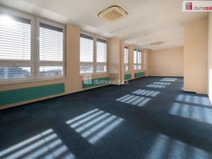 Pronájem kanceláře, České Budějovice - České Budějovice 6, Jeronýmova, 25 m2